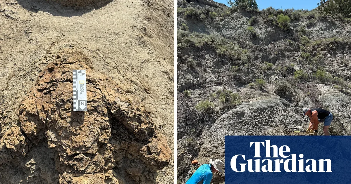 First Adult T Rex Footprints Found in North Dakota Preserve