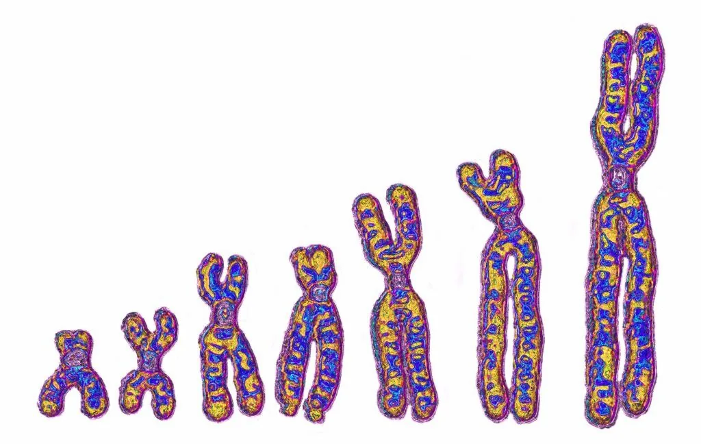 Ancient African 'Ghost Lineage' DNA Found in Modern Humans