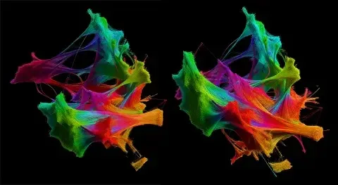 AI Accelerates Scientific Discovery: Experts Explore Future