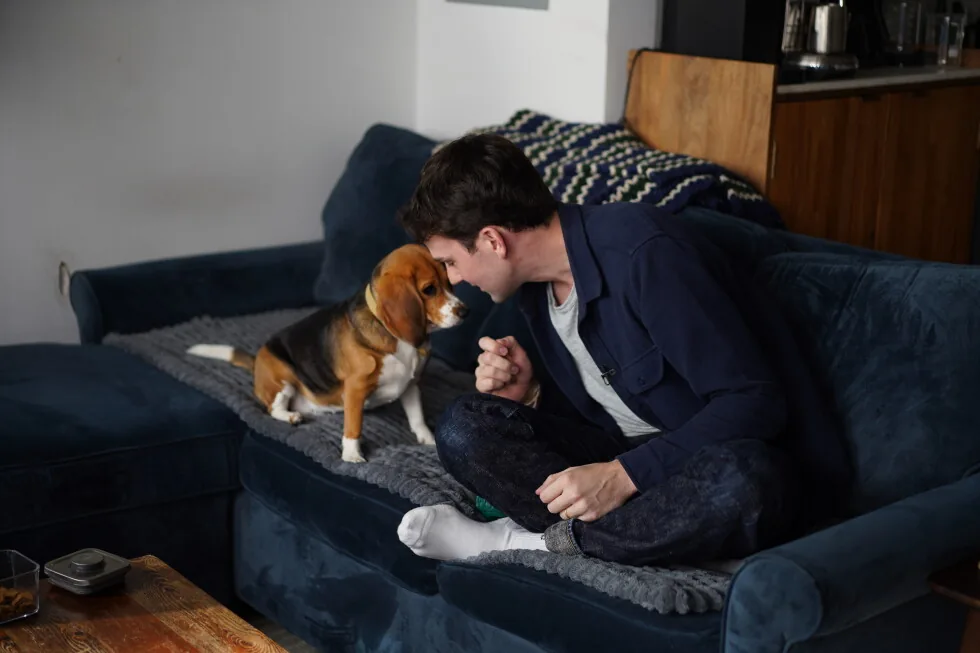 Gene-Edited Beagles Offer Hope for Allergy Sufferers
