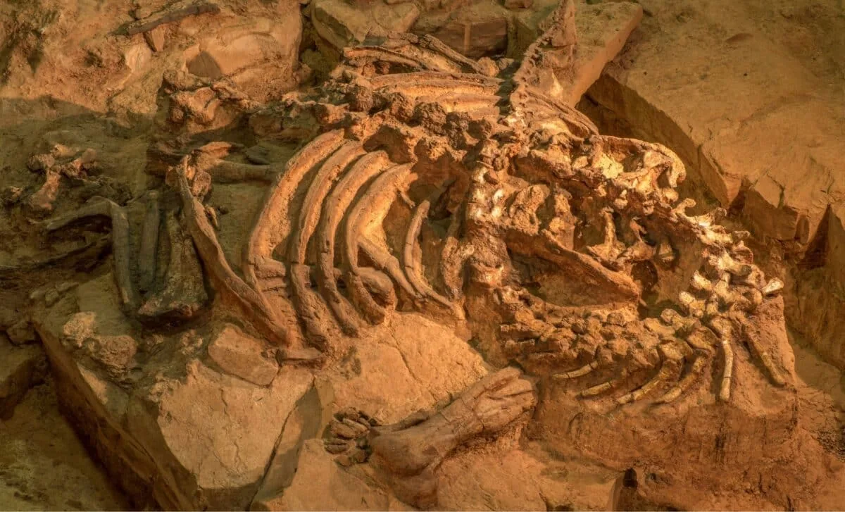 Giant 90-Foot Dinosaur Nagatitan Unearthed in Thailand