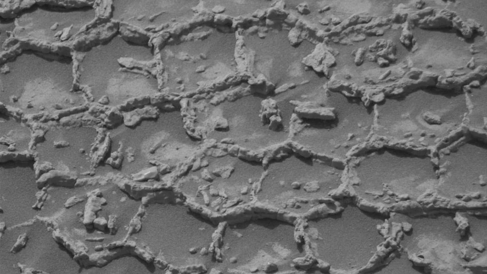 Mars Rover Finds Intriguing Honeycomb Texture on Red Planet Surface