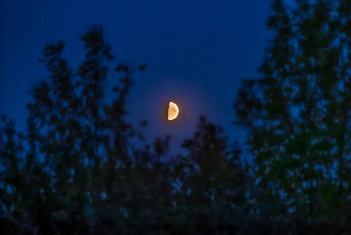Moon Joins Bright Stars Spica and Antares in July Sky