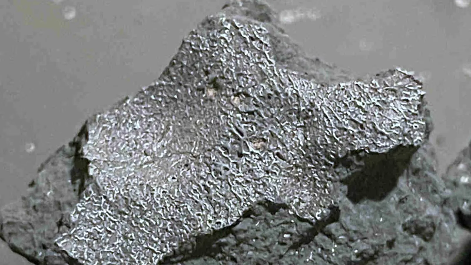 New Jersey Meteorite Found to Hold Life's Building Blocks
