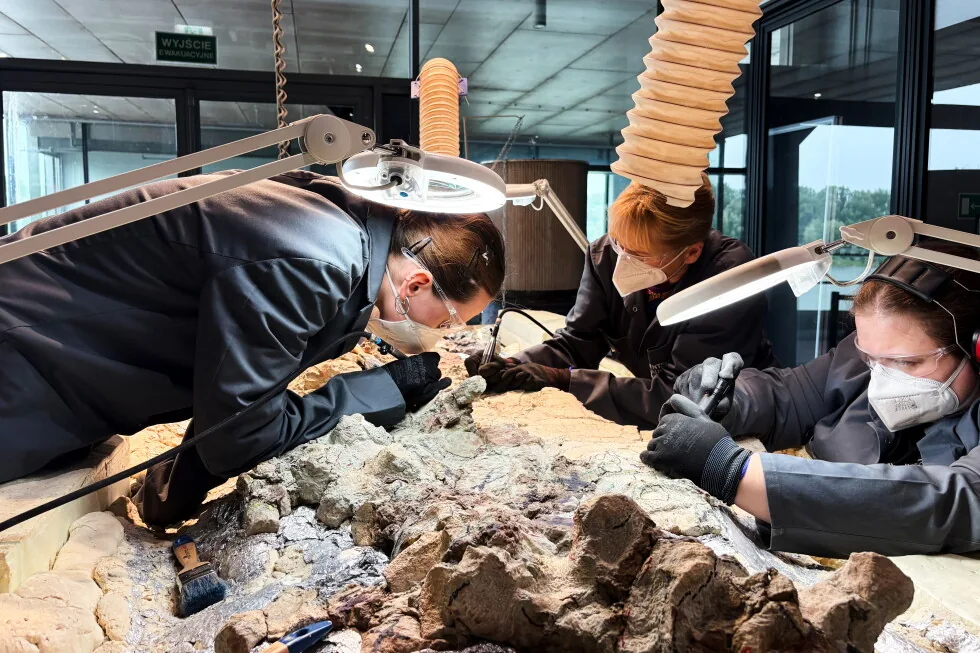 2,000 Volunteers Aid Restoration of Giant Prehistoric Predator Skeleton