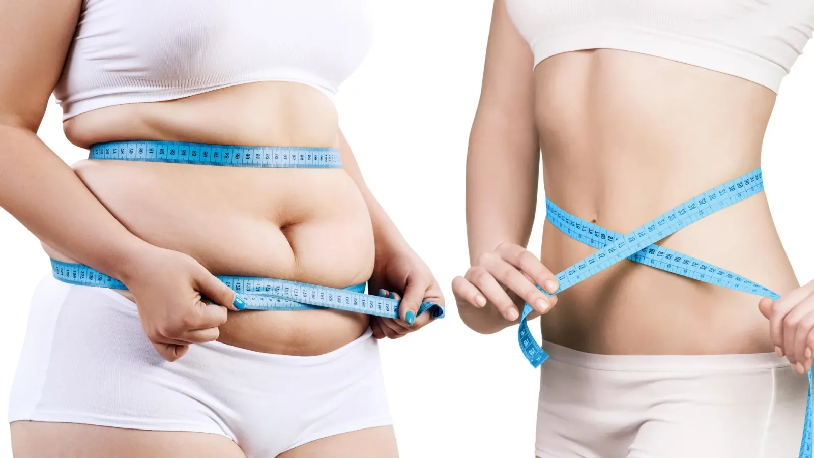 Protein 'Mitch' Discovery Could Boost Fat Burning, Block New Fat Cells