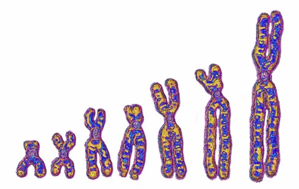 Ancient African 'Ghost Lineage' DNA Found in Modern Humans