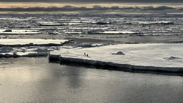 Antarctic Sea Ice Decline Linked to 'Triple Whammy' of Climate Chaos