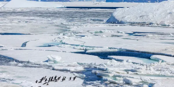 Antarctica is World's Largest Desert, Devoid of Sand