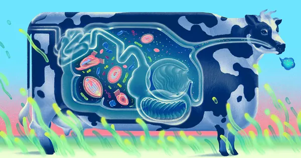 Cow Gut Discovery: New Organelle Links Microbes to Climate Change