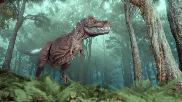Dinosaur Fossilized Droppings Reveal Pristine Ancient Bird Feather