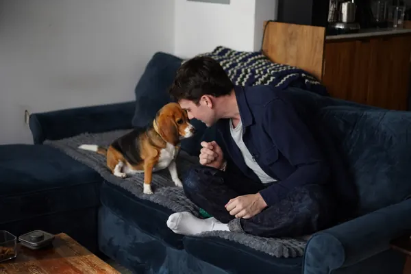 Gene-Edited Beagles Offer Hope for Allergy Sufferers