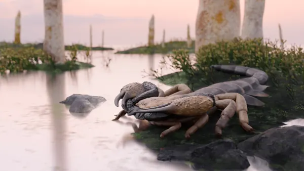 Giant 3.3-Foot Scorpion Fossil Identified From 415 Million Years Ago