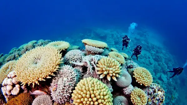 Global Conservation 'Bright Spots' Offer Hope for Biodiversity