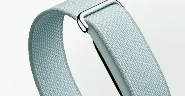 Fitbit Air Preorders Include Free Second Band from Google