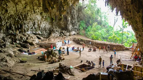 Hobbit Humans: New Study Suggests Homo Floresiensis Scavenged, Didn't Hunt
