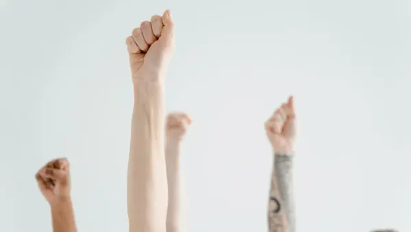 Why Humans Are Right-Handed: Evolutionary Secrets Revealed