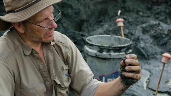 New Jersey Fossil Site Reveals Secrets of Dinosaur Extinction