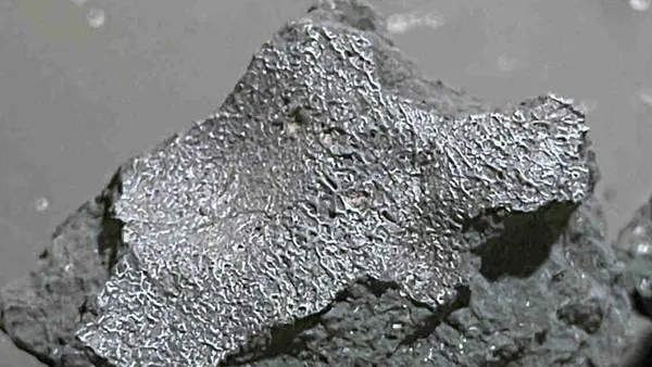 New Jersey Meteorite Found to Hold Life's Building Blocks