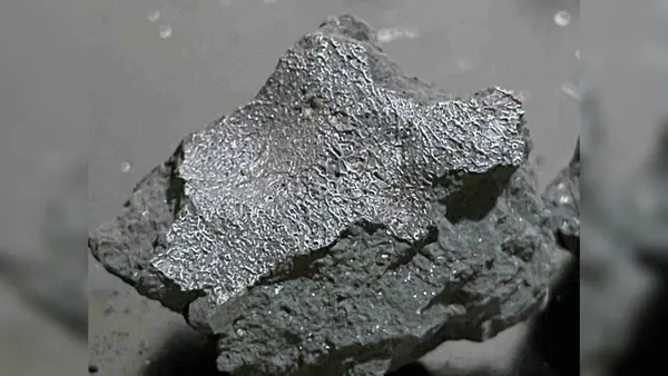New Jersey Meteorite Offers Clues to Life's Origins
