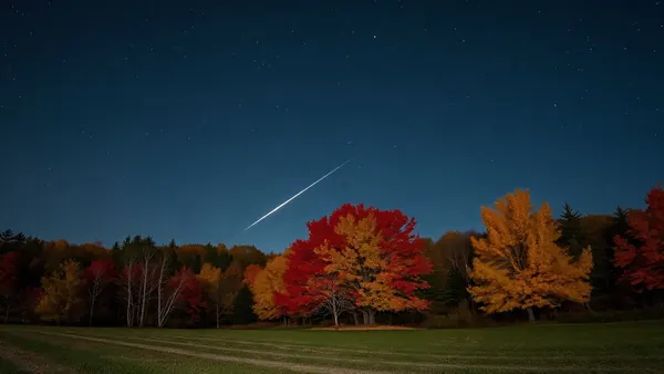 Orionid Meteor Shower Peaks Tonight Over CNY