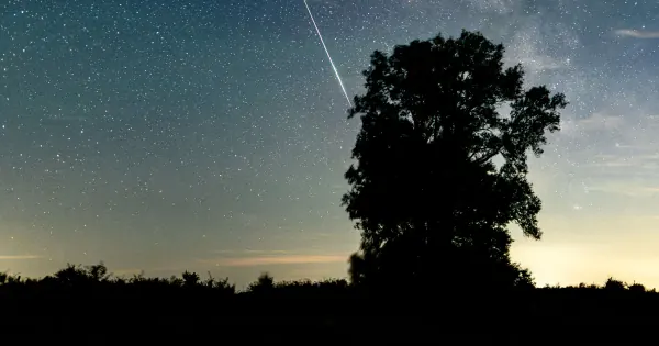Perseid Meteor Shower Peaks Alongside Summer Solar Eclipse