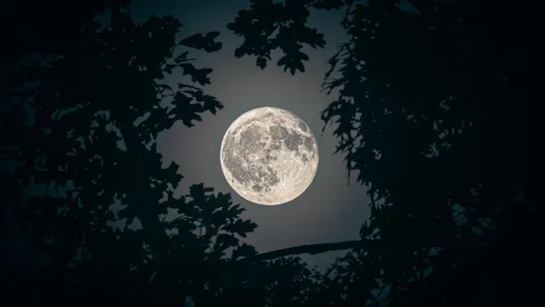 Rare Blue Moon Sets This Weekend: How to Watch