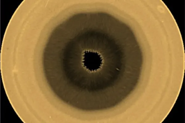 Saturn's South Pole Hosts Massive 10-Sided Cloud Pattern, Hubble Reveals