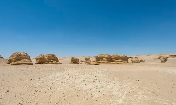 Ancient Shark Graveyard Discovered in Egyptian Desert