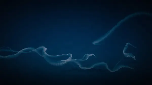 SpaceX Falcon 9 Launch Illuminates Skies with 'Space Jellyfish' Phenomenon