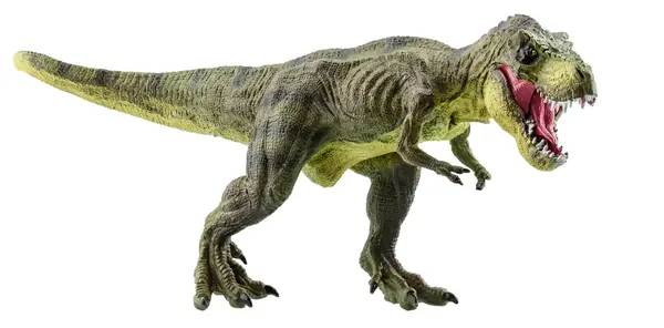 Tyrannosaurus Rex's Tiny Arms: Unraveling a Paleontological Puzzle