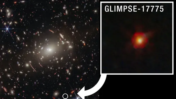 Webb Telescope Spots Clues: 'Little Red Dots' Could Be Black Hole Stars