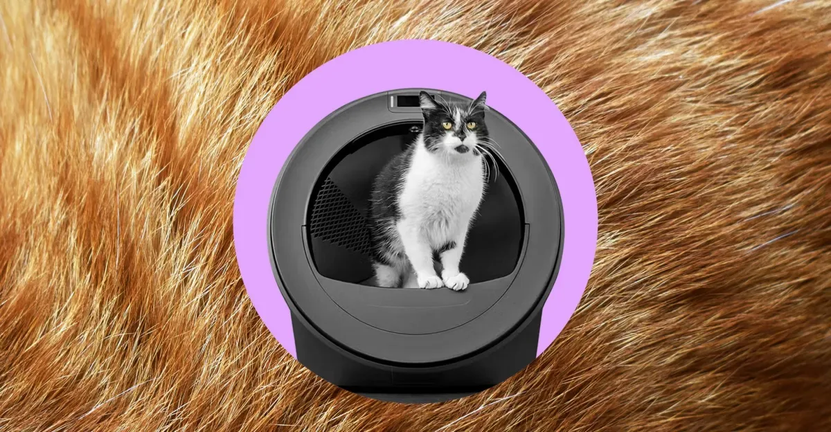Whisker's AI Litter Robot Struggles with Cat ID and Waste Tracking
